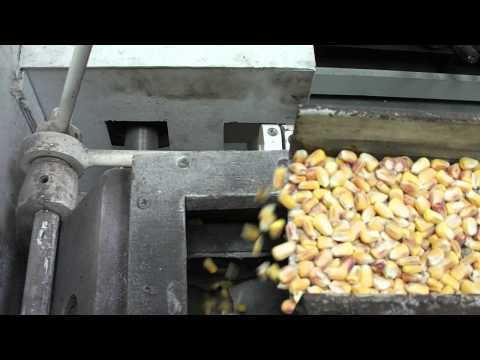 Maize mill working