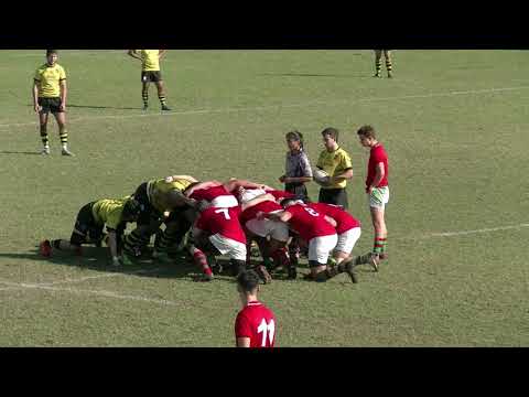 RUGBY SENIOR ELCHE C.R.U  Vs TATAMI C.R...14/11/2021....1ª TERRITORIAL MASCULINA...