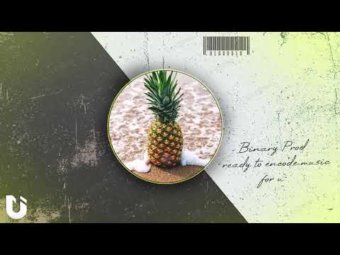 [FREE] David Guetta x Calvin Harris | EDM Type Beat - "Pineapple" (Prod. Binary Productions)