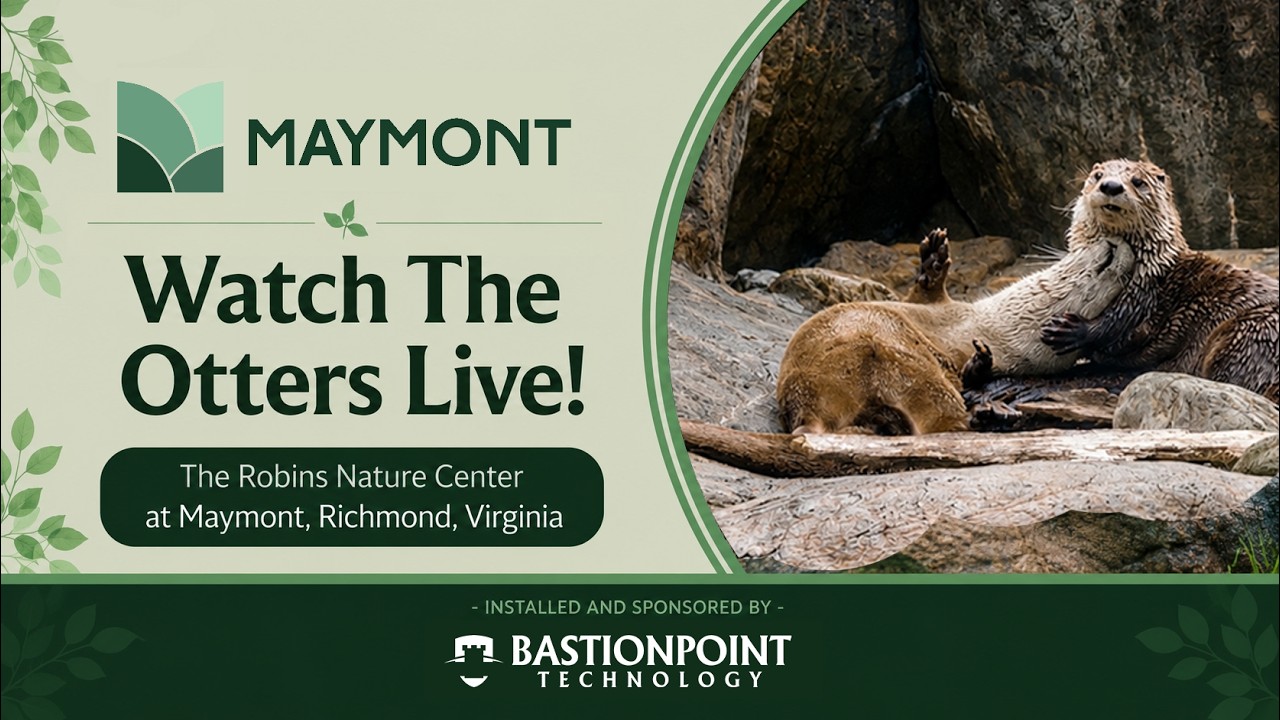 Live webcam view of Cámara de las Nutrias de Maymont