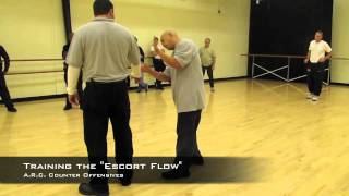 V.I.P. Tactics Academy - A.R.C. Counter Offensives Escort Flow