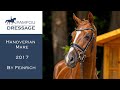 DRESSAGE HORSE FOR SALE Mare 2017
