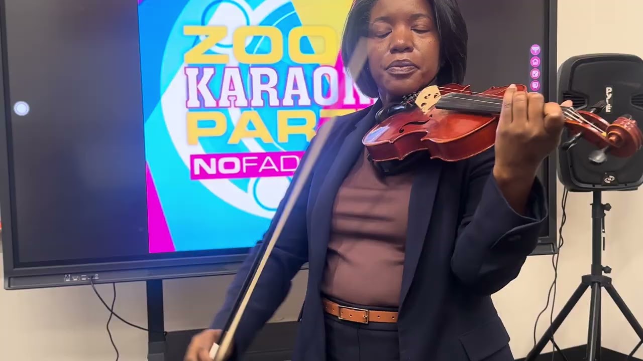 Promotional video thumbnail 3 for Violin by Valencia