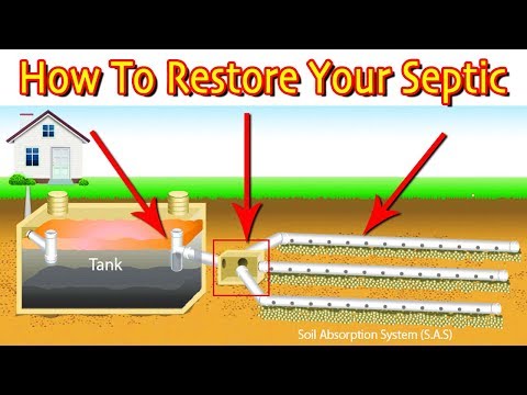 Restoring A Septic Drain Field: First Steps (Least Vs. Most Expensive)