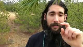 Neutralizing Polarized Sexual Charge and Integrating Whole Body – Mind Generation Force