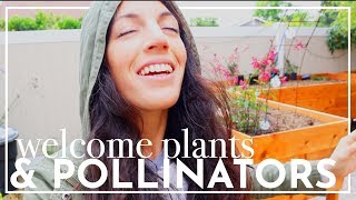 Welcome Pollinators, Help Me Plant & Help Me Choose!  |  VLOG  |  Hey It's A Good Life
