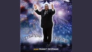 If I Had Wings I'll Fly Away