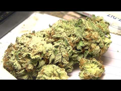 Crystally Kush Bud (HD)
