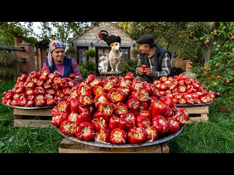 Stuffed Bell peppers Recipe: Perfect for Whole Year