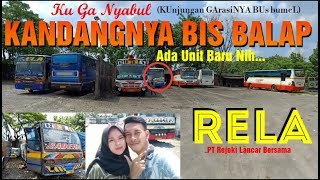 Download lagu [I'M NOT ABUSED] RACING BUS CAGE, NEW UNIT ❗ RELA Bus Garage Visit ❗ mp3