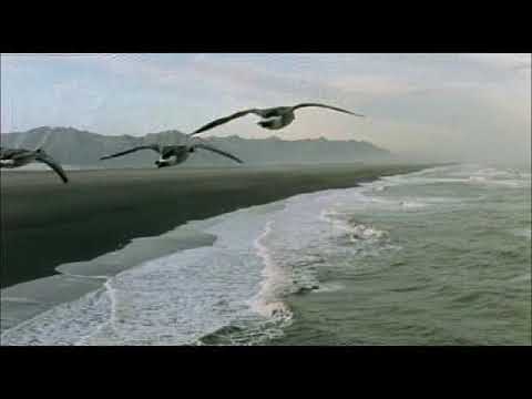 Le peuple migrateur Jacques Perrin, 2001 fr