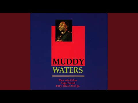 Baby, Please Don't Go