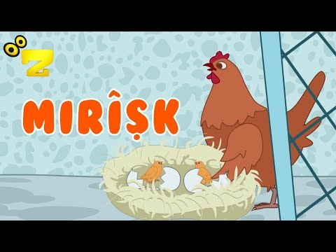 Zarok TV - 🎵 MIRÎŞK 🎵