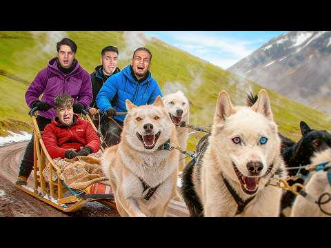 CURSA EXTREMA CU HUSKY PE 1.000€ (Fara Semnal: Ep. 3)