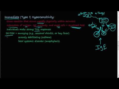 74P - Immediate (Type I) Hypersensitivity overview - basic description