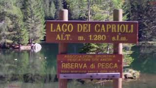 Immensa Distesa - Le Orme - Album "Smogmagica"... Anno... 1975...