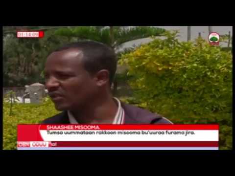 Shaashee Misooma 21 08 2010