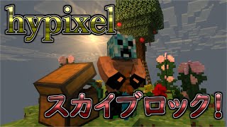 【スカイブロック】なにかをする【ハイピクセル】