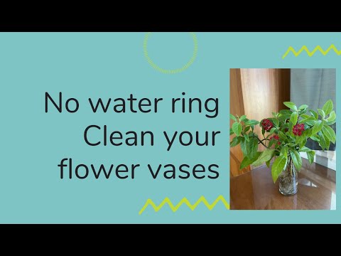 How to clean the water line in flower vases | Savvy Green