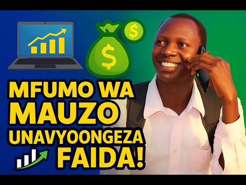 Mfumo wa Mauzo Video