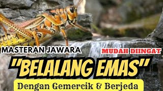 Download lagu TOP MASTERING ! SUARA BELALANG EMAS DG GEMERCIK AIR & BERJEDA | MUDAH DIINGAT mp3 Download lagu TOP MASTERING ! SUARA BELALANG EMAS DG GEMERCIK AIR & BERJEDA | MUDAH DIINGAT mp3