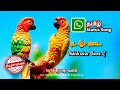 Rettakkili Gramathu Minnal Ilaiya Raja Melodies Song WhatsAppStatusSong Rajavanam