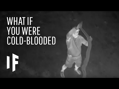 download lagu mp3 mp4 Cold Blooded Person, download lagu Cold Blooded Person gratis, unduh video klip Cold Blooded Person
