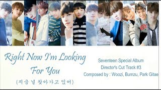 Download lagu Seventeen - Run To You Lyric (Han/Rom/Indo) mp3