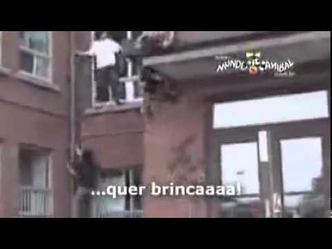 Partoba 2 Mundo Canibal