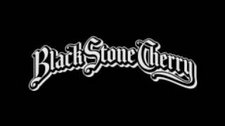 Black Stone Cherry - Drinkin&#39; Champagne