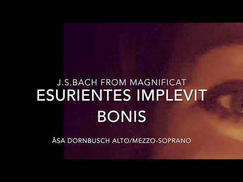 Åsa Dornbusch Alto aria from Magnificat, J.S Bach Esurientes implevit bonis