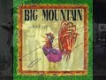 Big Mountain    Amor De Lejos   1992
