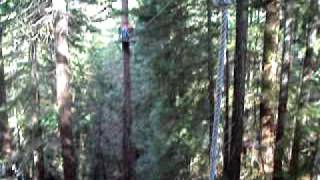 Amy and Sheena Ziplining over the redwood forest