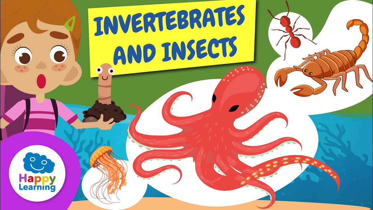🔴LIVE | 🐌🦋 Invertebrates and Insects for Kids | Learn About Nature! 🌿 | @HappyLearningENG
