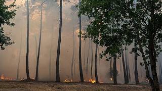 Ordenan evacuaciones en el extrarradio de Burdeos mientras los incendios arrasan el sur de Europa