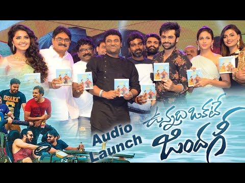 Unnadi Okkate Zindagi Movie Audio Launch
