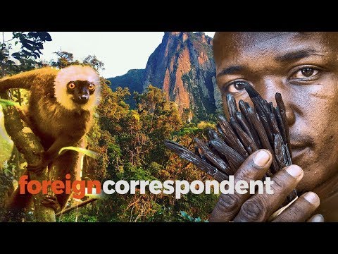download lagu mp3 mp4 Where To Buy Vanilla In Madagascar, download lagu Where To Buy Vanilla In Madagascar gratis, unduh video klip Where To Buy Vanilla In Madagascar