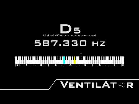 D5 / 587.330hz @A440hz Tone For Instrument Tuning