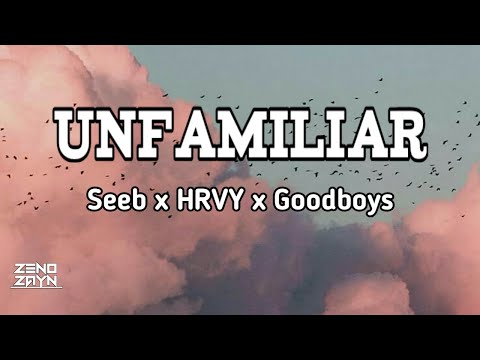 Unfamiliar - Seeb x HRVY x Goodboys | (Music Lyrics)