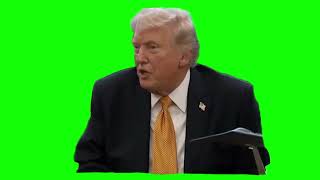 Donald Trump "everything about him is dumb" green screen
