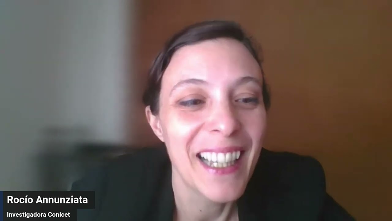 Democracia como expectativa e insatisfacción