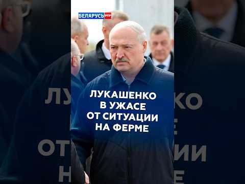 Лукашенко в ужасе от ситуации на ферме! #лукашенко #политика #новости #батька #беларусь