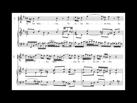 Bach: Mass in G major 236 - Quoniam tu solus - Herreweghe