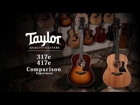 Taylor 317e & 417e-R Comparison / MION experiment