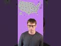 What If The Electoral College Is Tied