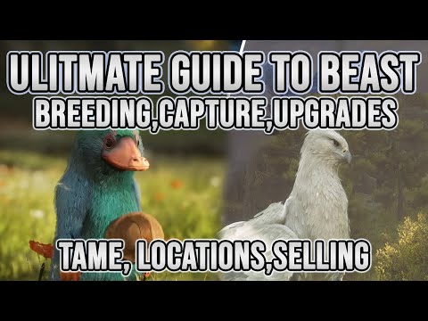 Hogwarts Legacy : Complete Guide To Beasts - Breeding, Capture, Locations,Tame, Upgrades! Everything