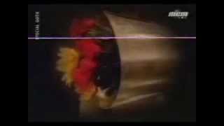 Einstürzende Neubauten - Blume (french version) - subtitulado