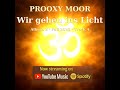Wir gehen ins Licht