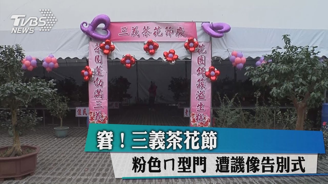 窘!三義茶花節粉色ㄇ型門 被譏像告別式