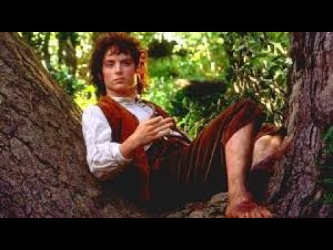 we're so proud of you, frodo (a poorly made tribute to the hobbit that saved middle earth)